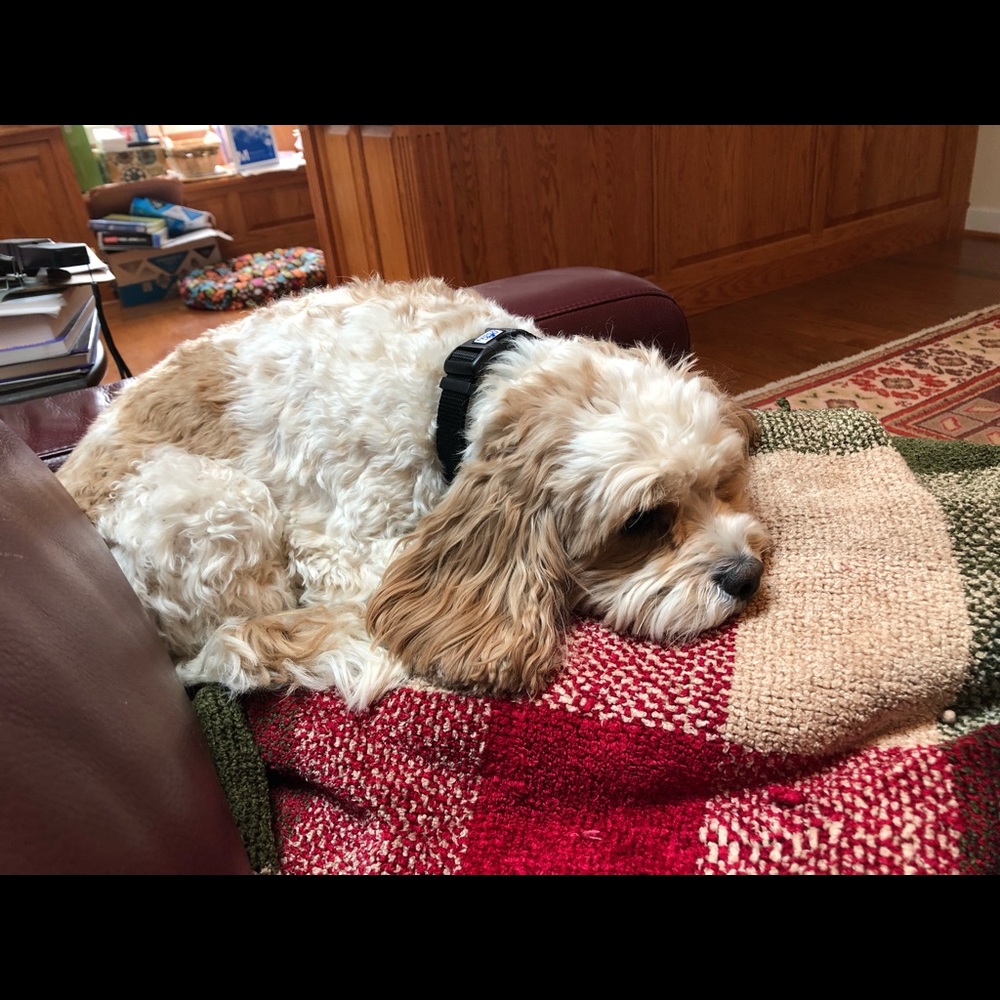 Meet your Posher, Robin